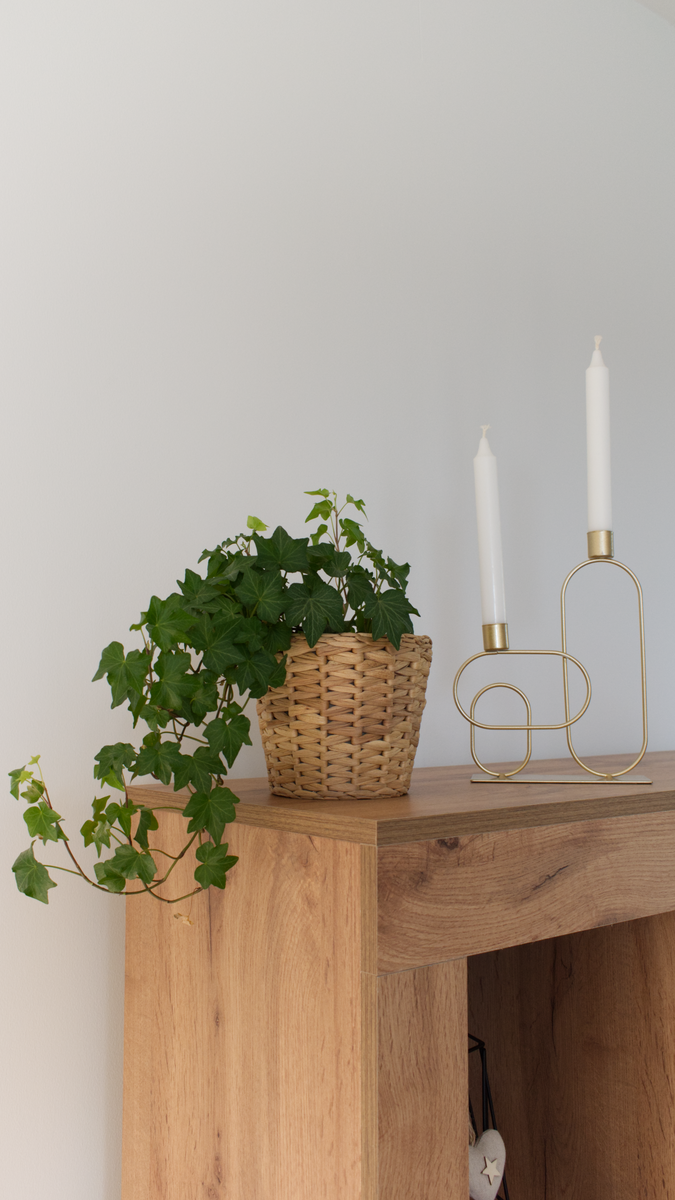 Wohnzimmer Goldener Kerzenständer und Pflanze